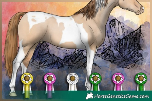 Horse Color:Brown Pearl Dun Tobiano 
