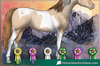 Horse Color:Brown Pearl Dun Tobiano 