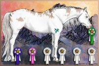 Horse Color:White Spotted Silver Brown Dun Splash 