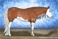 Horse Color:Silver Brown Splash Rabicano 