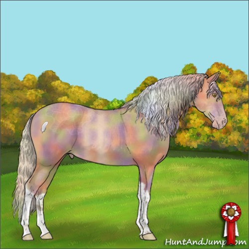 Horse Color:Nacre Silver Amber Champagne Tobiano 