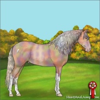 Horse Color:Nacre Silver Amber Champagne Tobiano 