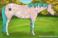 Horse Color:Watercolor Buckskin Ice 