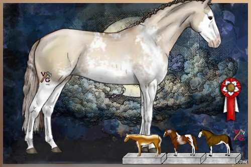 Horse Color:Grullo Pearl Sabino Splash Rabicano 
