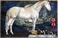 Horse Color:Grullo Pearl Sabino Splash Rabicano