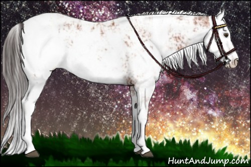 Horse Color:Bay Sabino Rabicano and Brown Sabino Rabicano