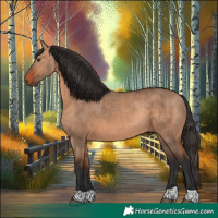 Horse Color:Bay Dun Rabicano