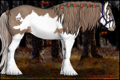 Horse Color:Liver Red Dun Splash Frame 