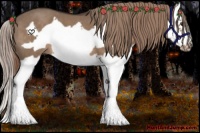 Horse Color:Liver Red Dun Splash Frame