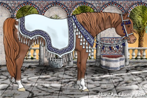 Horse Color:Liver Red Roan Blanket 