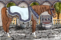 Horse Color:Liver Red Roan Blanket 