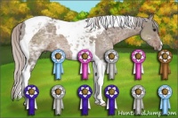 Horse Color:Silver Grullo Ice Tobiano 