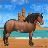 Horse Color:Bay Sabino Rabicano and Bay Sabino Frame Rabicano