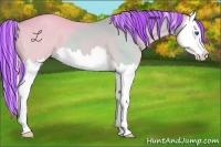 Horse Color:Painted Palomino Roan Splash 