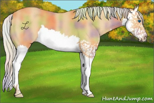 Horse Color:Nacre Silver Buckskin Splash 