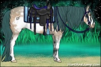 Horse Color:Watercolor White Spotted Buckskin Dun Frame 