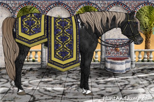 Horse Color:Liver Chestnut Ice Appaloosa 