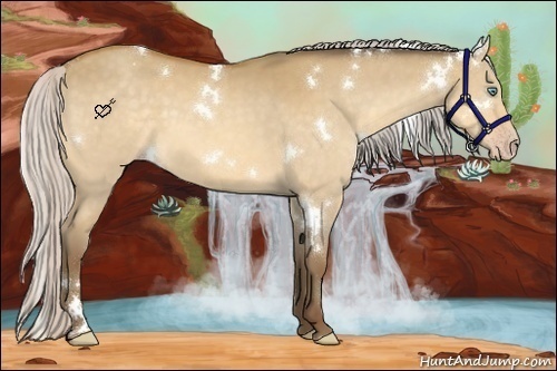 Horse Color:White Spotted Silver Amber Cream Champagne Dun