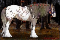 Horse Color:Nacre White Spotted Liver Red Roan Splash Appaloosa 