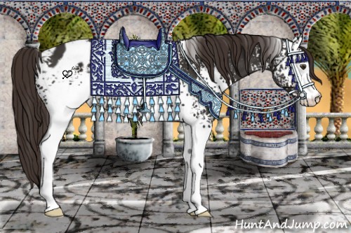 Horse Color:White Spotted Liver Chestnut Sabino Appaloosa 