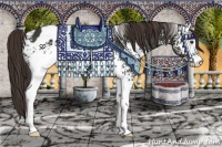 Horse Color:White Spotted Liver Chestnut Sabino Appaloosa 