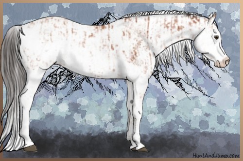 Horse Color:Bay Sabino Rabicano  and Bay Sabino Rabicano 