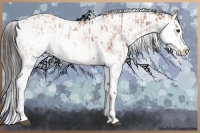 Horse Color:Bay Sabino Rabicano  and Bay Sabino Rabicano 