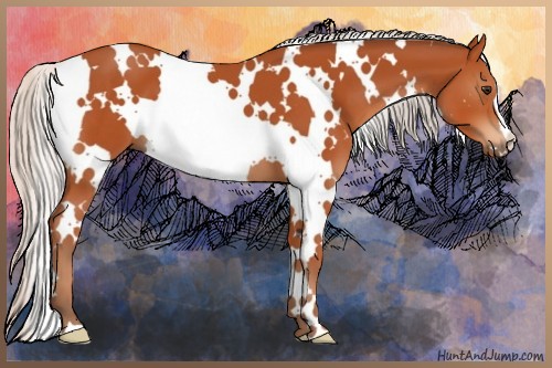 Horse Color:White Spotted Silver Brown 