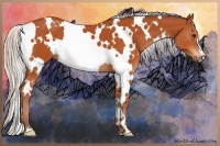 Horse Color:White Spotted Silver Brown 