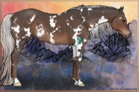 Horse Color:White Spotted Silver Black 