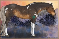 Horse Color:White Spotted Silver Smoky Black Tobiano 