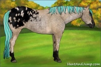 Horse Color:Void Painted Chocolate Palomino Pearl Sabino Splash Appaloosa Rabicano 