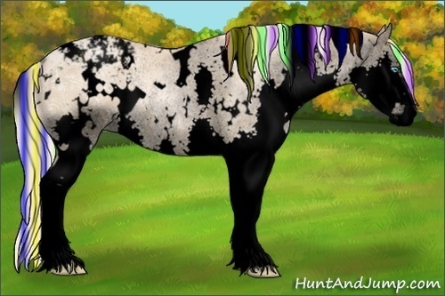 Horse Color:Void Painted White Spotted Chocolate Palomino Ice Pearl Sabino Splash Varnish Rabicano