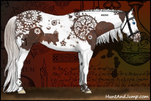 Horse Color:Silver Brown Splash Tobiano 