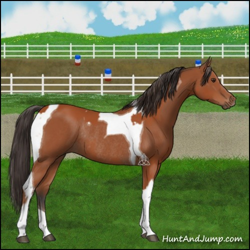 Horse Color:Bay Sabino Rabicano  and Bay Tobiano Rabicano 
