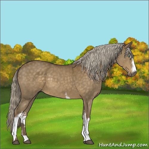 Horse Color:White Spotted Chocolate Palomino Mushroom 