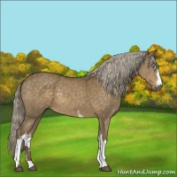 Horse Color:White Spotted Chocolate Palomino Mushroom 