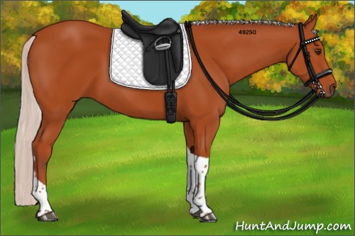 Horse Color:Silver Bay Tobiano Rabicano 