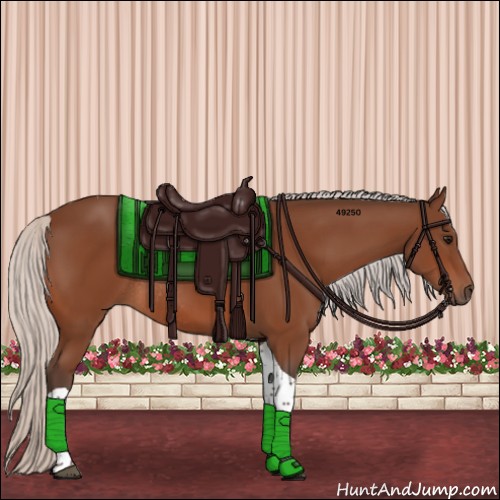 Horse Color:Silver Bay Tobiano Rabicano 