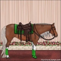 Horse Color:Silver Bay Tobiano Rabicano 