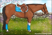 Horse Color:Bay Tobiano Rabicano