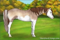 Horse Color:Red Onyx Roan Splash Varnish
