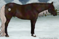 Horse Color:Midnight Silver Bay