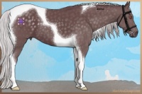 Horse Color:Chocolate Silver Black Chinchilla Tobiano 