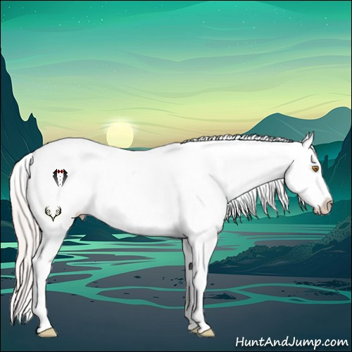 Horse Color:Silver Classic Champagne Appaloosa 