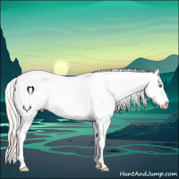 Horse Color:Silver Classic Champagne Appaloosa 