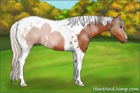 Horse Color:Silver Bay Tobiano 