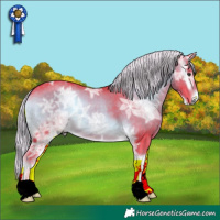 Horse Color:Watercolor Chocolate Palomino Ice Onyx 