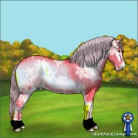 Horse Color:Watercolor Chocolate Palomino Ice Onyx 