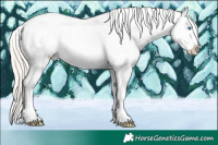 Horse Color:Chocolate Palomino Pearl Sabino Tobiano Appaloosa 